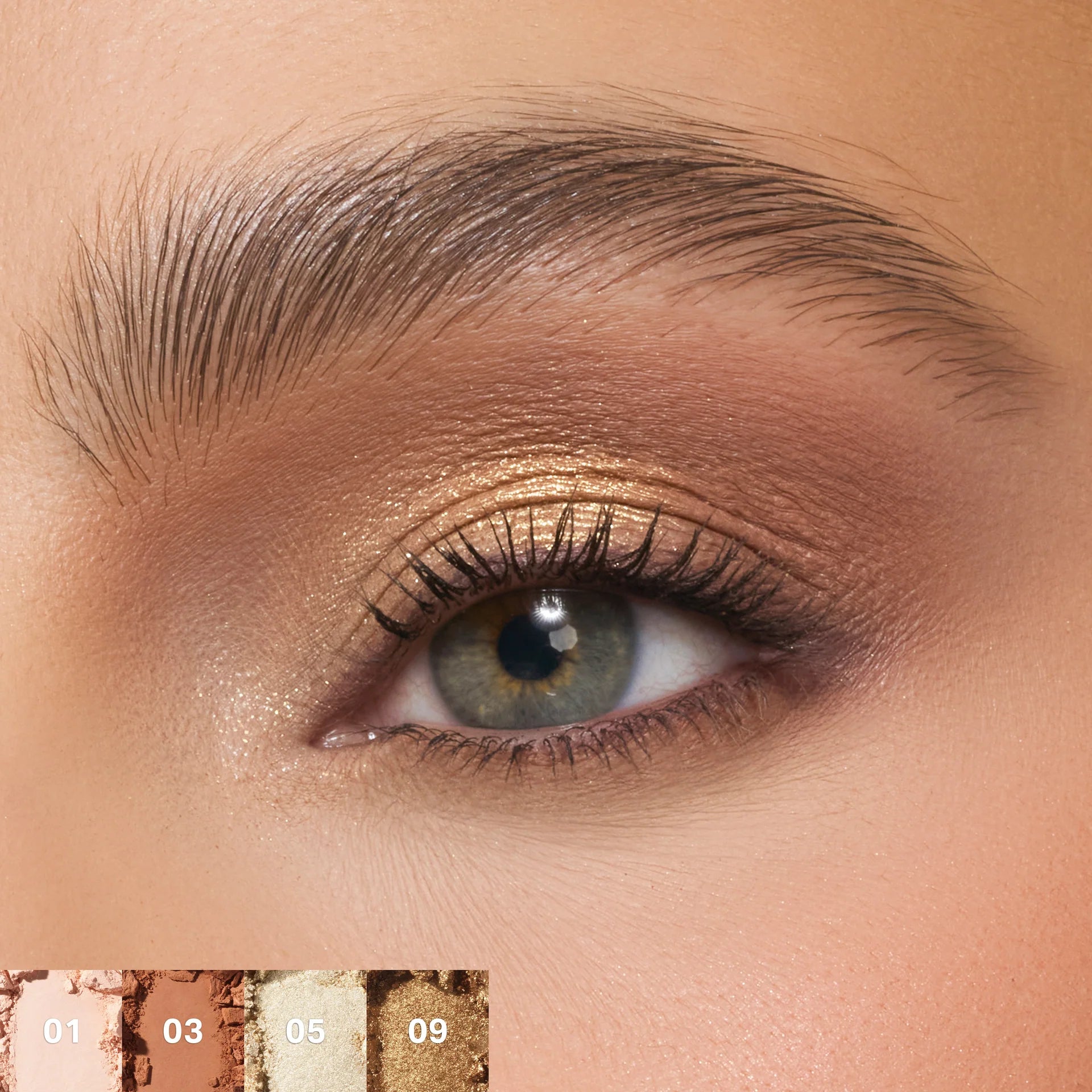 MORPHE - ChromaPlus 12-Pan Eyeshadow Palette